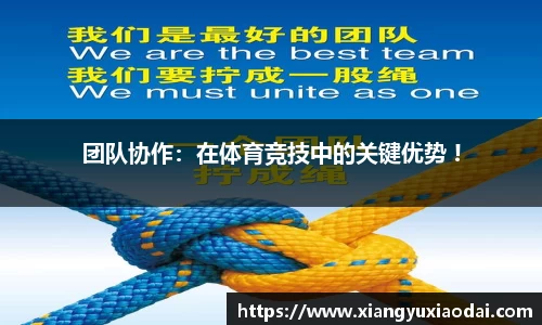 乐竞体育LEJING SPORTS